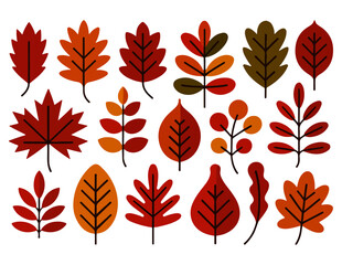 autumn leaves set of illustration