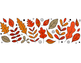autumn leaves illustration