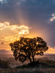 Beautiful sunset in the meadows of the village of Pradas (Valencia, Spain)