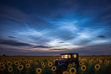 noctilucent over the fields