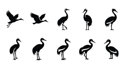 Vector silhouette illustration a black silhouette of a crane bird standing with long legs, isolated on a white background