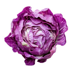 Obraz premium Fresh cabbage isolated on transparent background.