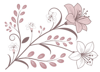 Elegant floral branch design isolated on white background