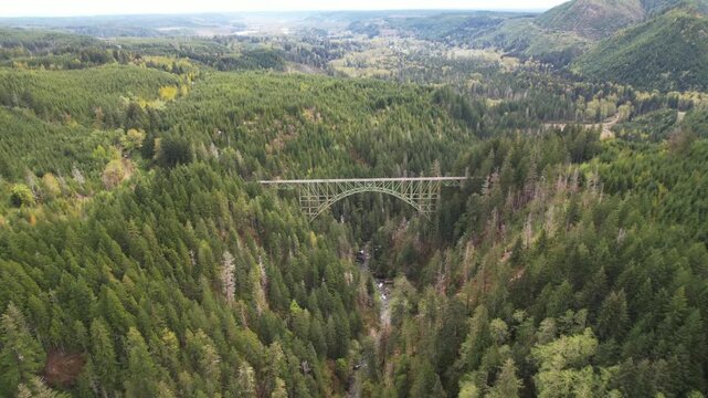 Drone Flies Over Forest Valley And Metal Bridge Hidden In The Trees, Vance Creek Bridge