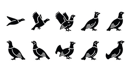 Silhouette illustration of a bird, grouse, pheasant isolated on a white background - Vector silhouette illustration