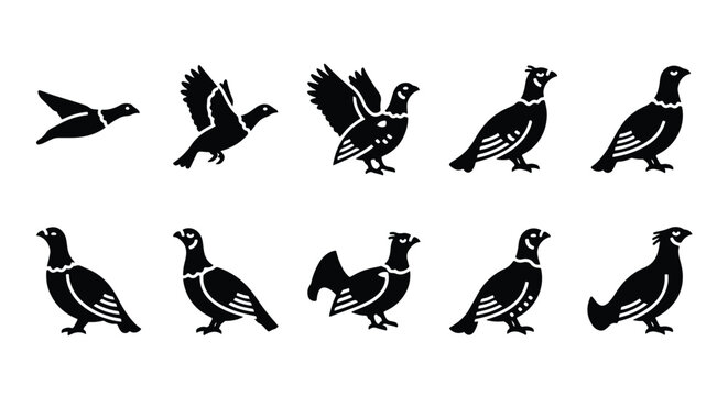 Silhouette illustration of a bird, grouse, pheasant isolated on a white background - Vector silhouette illustration