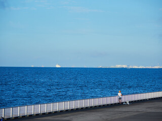 夏の新浦安総合公園の堤防で釣りをしている人の姿