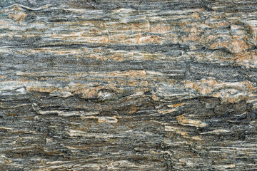 Smooth and rugged stone surface displays unique textures and mineral patterns with shades of gray...