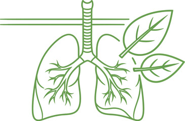 Vector art of a line art illustration of lungs with leaves isolated on white background