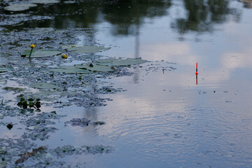 Tranquil Water Scene Featuring Yellow Lily Pads and a Fishing Bobber Hovering Above the Reflective Water Surface Amidst Nature s Serene Beauty and Calm Atmosphere
