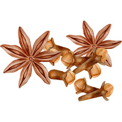 illustration of cloves and star anise