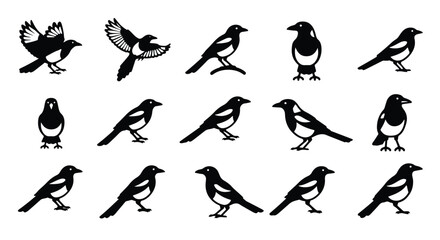 Fototapeta premium Vector silhouette illustration a black silhouette of a magpie bird perched on a branch, isolated on a white background