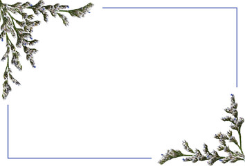 Corner arrangements with small twigs of limonium flowers and a blue frame isolated on white or transparent background