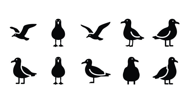 Vector silhouette illustration silhouette of a seagull flying, isolated on white background