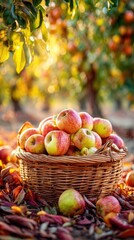A basket full of apples