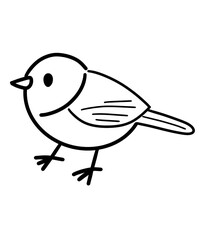bird on a white background