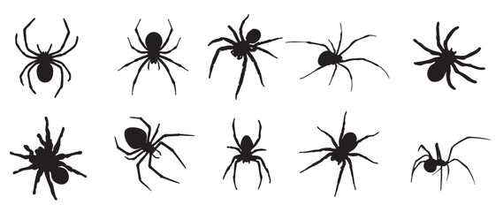 Collection of isolated spiders on transparent background.Set of black spider silhouettes.Halloween decorative elements. Sticker with black spiders.Spooky horror design  elements. Vector illustration. 