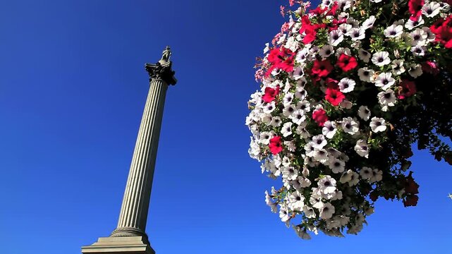 Admiral Nelsons Column in Trafalgar Square London
