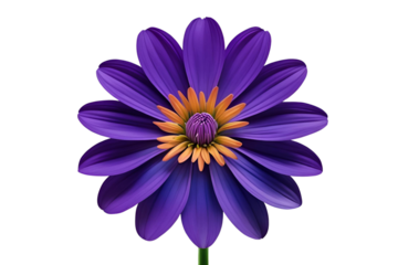 Stylized purple flower with a bright orange center isolated png