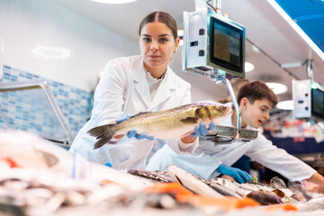 Female seller in apron standing near counter offering fresh fish hake to the buyer