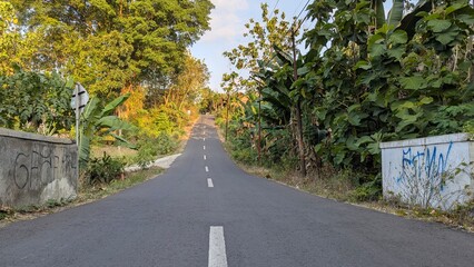 A narrow asphalt road stretches uphill through a lush Indonesian rural landscape, flanked by dense...