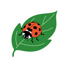 Fototapeta premium Ladybug on Leaf