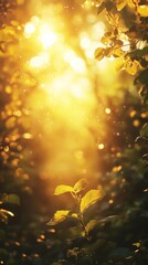 Sunlight Streaming Through Leaves in Forest Setting