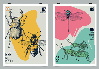 A set of insectthemed posters features vintage illustrations with colorful abstract backgrounds