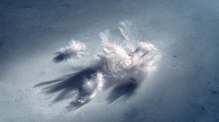 A few delicate white feathers scattered on a smooth, light grey surface