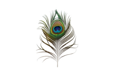 Obraz premium Peacock Feather Isolated on transparent Background