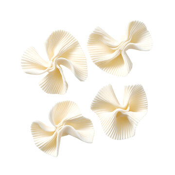 Tripoline Pasta Ribbons with Ruffle - Culinary Art Photography