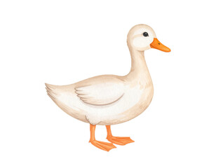 Obraz premium Cartoon watercolor illustration of duck. Animal clipart illustration.
