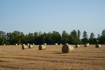 Hay bales on the field after the harvest. Farming, agribusiness, organic production, nature and...