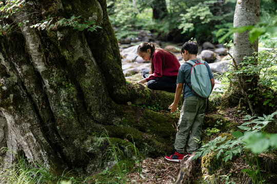 Young students exploring nature near a mossy tree by the river