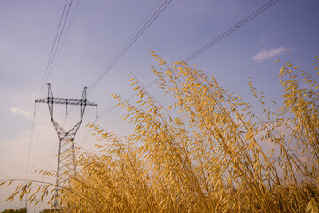 Metal Utility Poles for Electric Power – Modern Electricity and Energy Infrastructure Concept