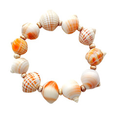 Elegant Chic Shell Bracelet with Beautifully Arranged Smooth Shells