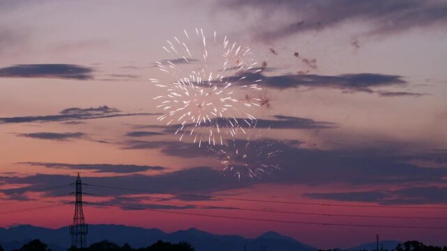 夕空に映える打ち上げ花火（八王子花火大会）