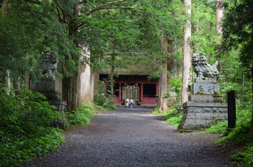 【長野県】戸隠神社・奥社