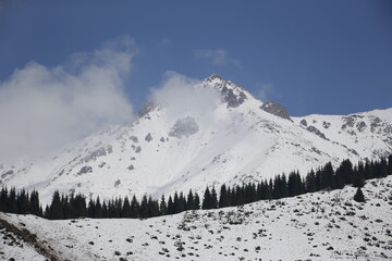 Obraz premium Zailiysky Alatau is a mountain range in the northwest of the Tien Shan