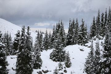 Zailiysky Alatau is a mountain range in the northwest of the Tien Shan