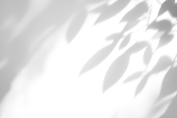 shadow overlay effects of realistic abstract natural tree leaves shadow on wall background,Summer...