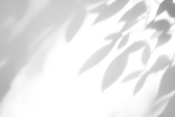 shadow overlay effects of realistic abstract natural tree leaves shadow on wall background,Summer sunlight and shadow overlay effect,shadow for photo interior backdrop studio mockup