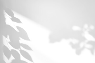 shadow overlay effects of realistic abstract natural tree leaves shadow on wall background,Summer...