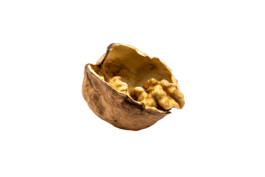 a peeled walnut shell with a few nuts in it