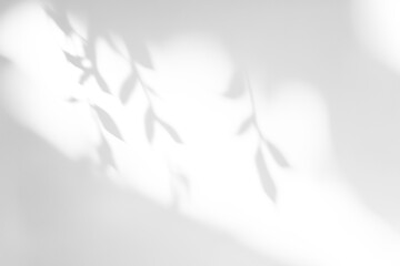 Obraz premium shadow overlay effects of realistic abstract natural tree leaves shadow on wall background,Summer sunlight and shadow overlay effect,shadow for photo interior backdrop studio mockup