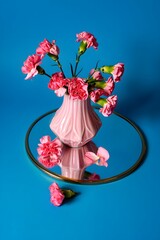 Still life pink carnations in vase on mirror aesthetic floral arrangement blue background