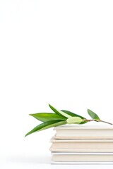 Stack of books with green leaf aesthetic photo for study and education concept image art