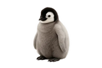 Selbstklebende Fototapeten Pinguin Cute fluffy baby penguin standing on white background. Perfect for wildlife and nature-themed content.  © MJ iceberg