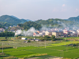 landscape of countryside in chia