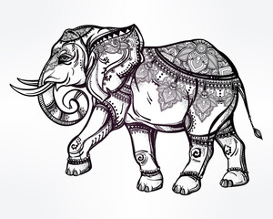 Hand drawn ornate elephant illustration.
